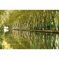 VÉLO TOUT CHEMIN RIVERSIDE 500 BLEU -Pedale Ravie Soldes Magasin velo tout chemin riverside 500 bleu 16 600x600 1